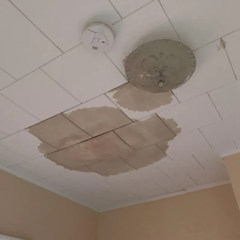 Ceiling Water Damage Repair in Brazil, IN