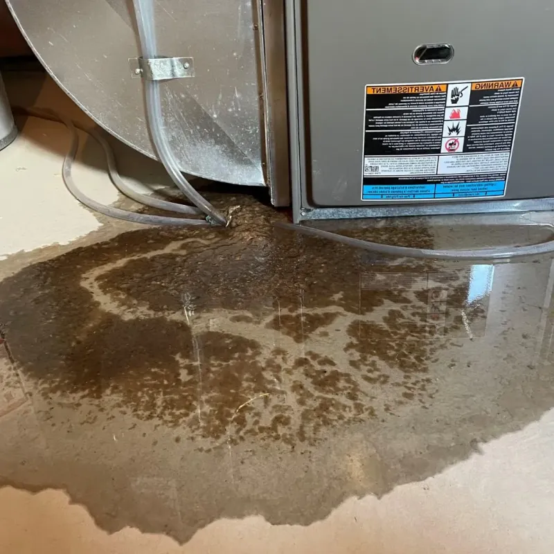 Pipe Burst and Leak Restoration in Brazil, IN